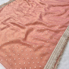 Janhvi Kapoor Inspired Tissue Saree With Trending Border