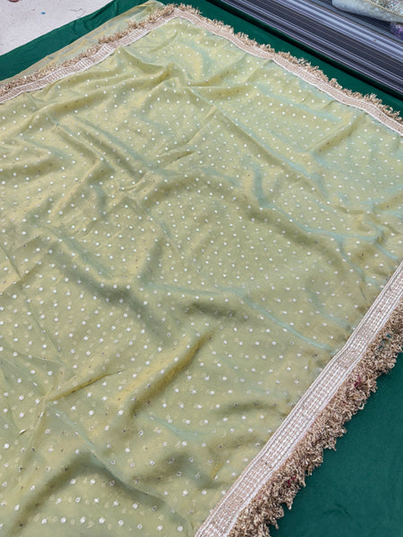 Janhvi Kapoor Inspired Tissue Saree In Pestal Green Colour With Trending Border