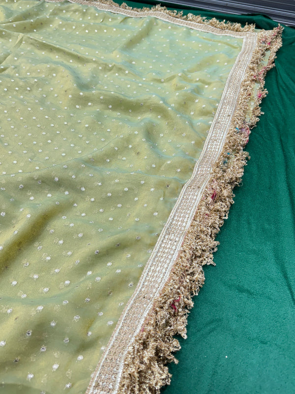 Janhvi Kapoor Inspired Tissue Saree In Pestal Green Colour With Trending Border