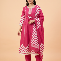 Trending A-Line Pink Dress With Print Pattern on Border & Sleeves